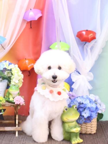 230625ちくわくん